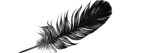 Black Feather Meaning, What Does The Black Feather Mean?