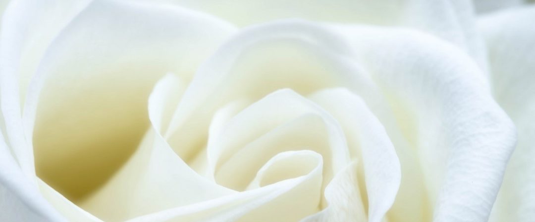 Colour White | The Meaning Psychology and Symbolism