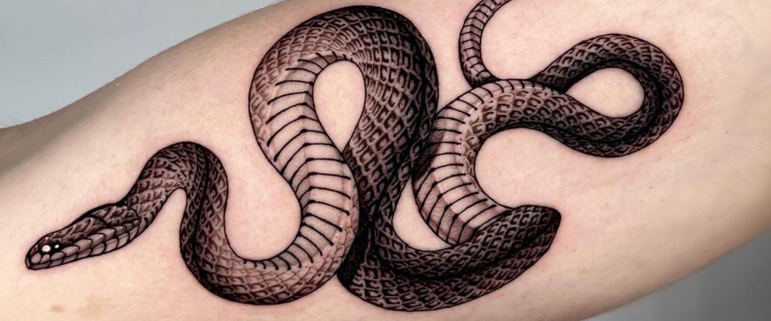 Snake Tattoo Meaning - TDP Clothing® | Tattoo Clothing