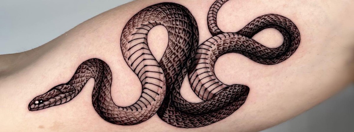 Black Snake - Black Snake Temporary Tattoos | Momentary Ink